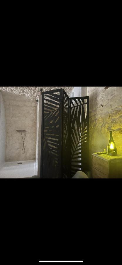 Castelnau-Montratier Voute Des Anges Type Loft Sans Cloison 아파트 외부 사진